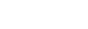 logo andes bloom light 01