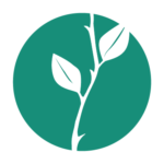 untitled 1 [recovered] 02